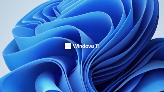 Windows 11 project still